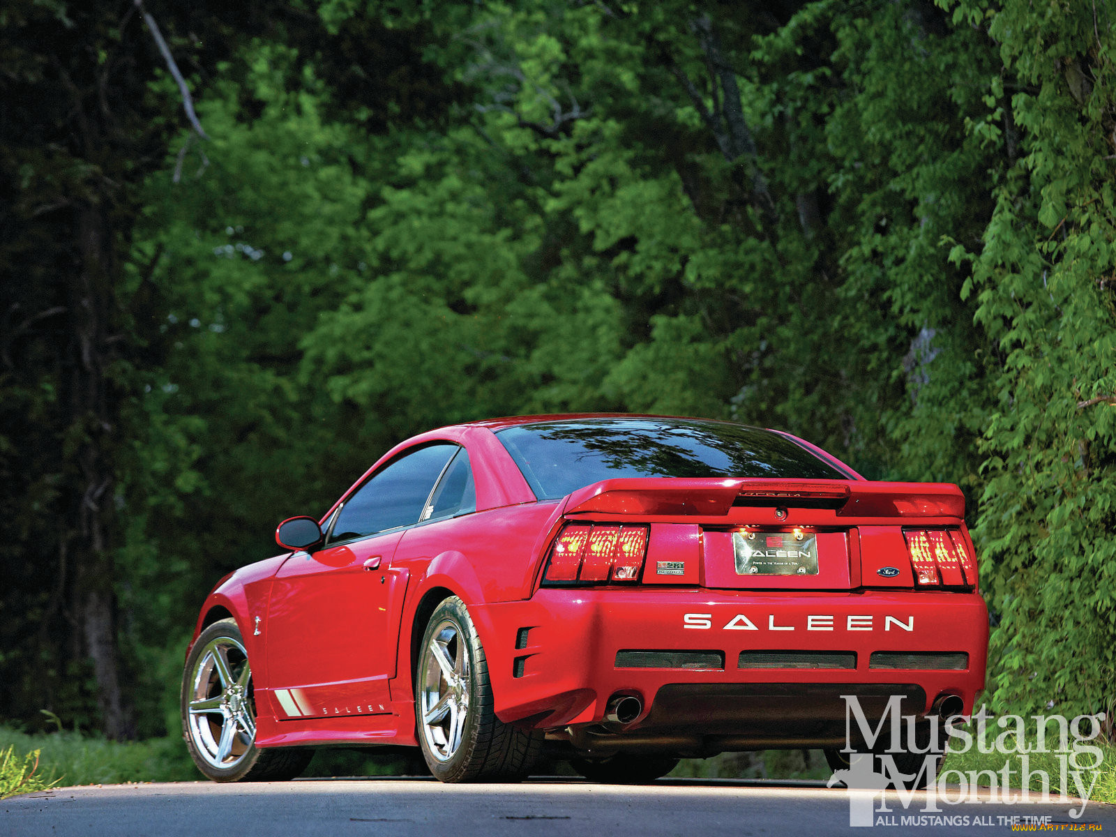 , mustang, 281c